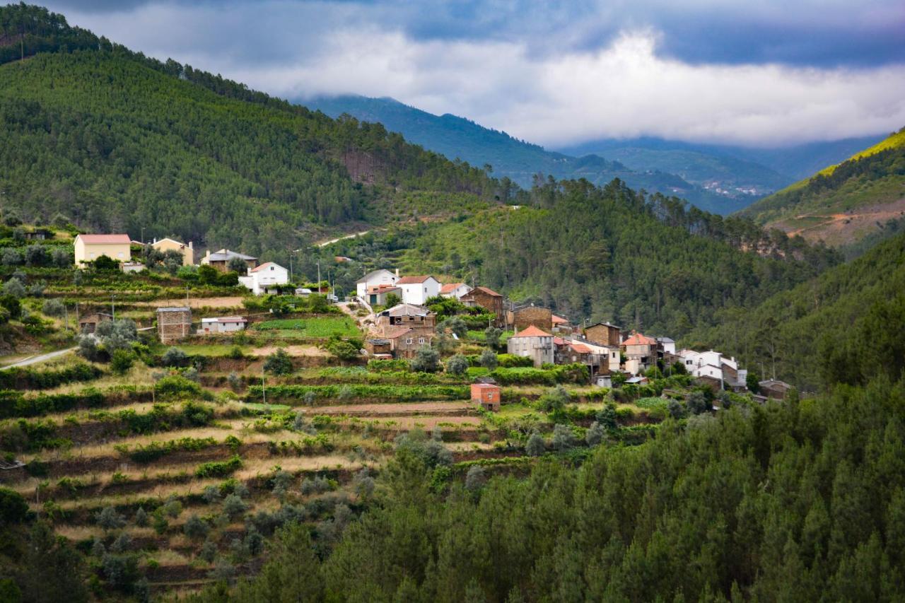 فيلا Casa Do Azereiro Casal do Rei  المظهر الخارجي الصورة