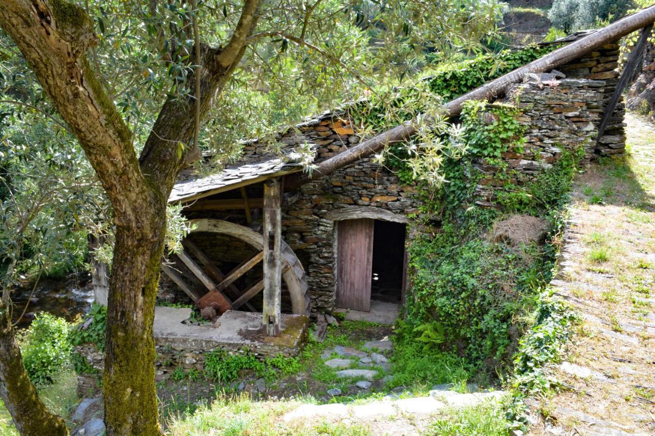 فيلا Casa Do Azereiro Casal do Rei  المظهر الخارجي الصورة