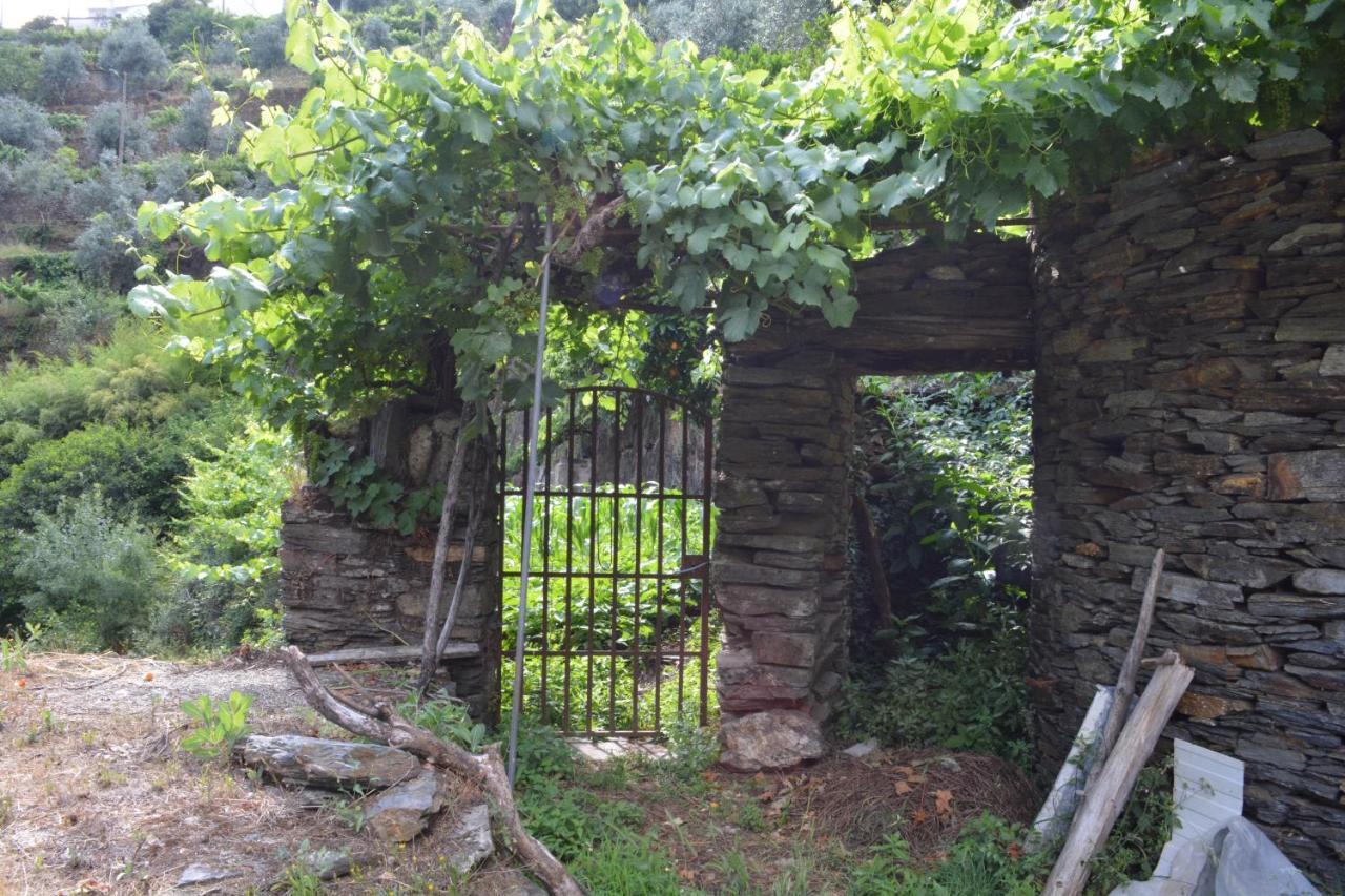 فيلا Casa Do Azereiro Casal do Rei  المظهر الخارجي الصورة
