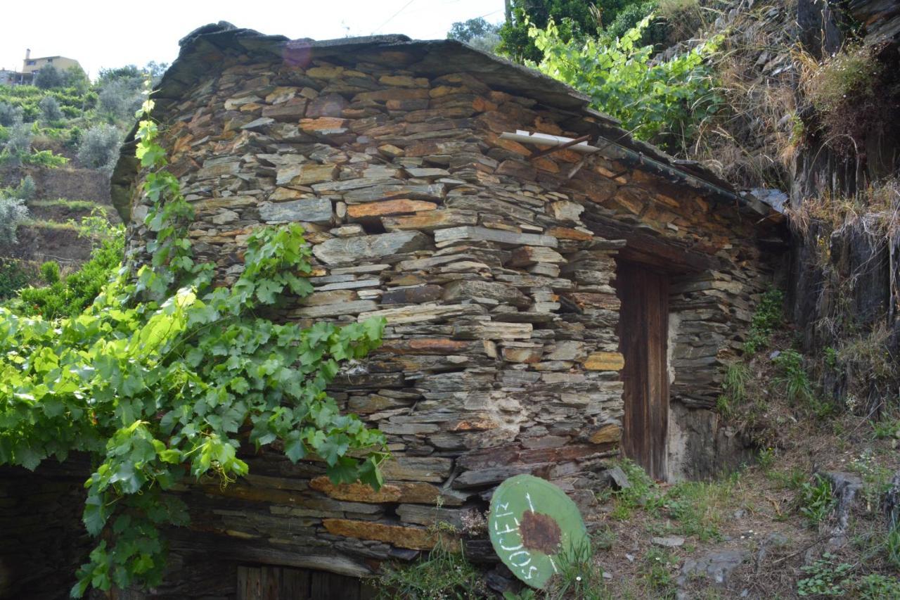 فيلا Casa Do Azereiro Casal do Rei  المظهر الخارجي الصورة